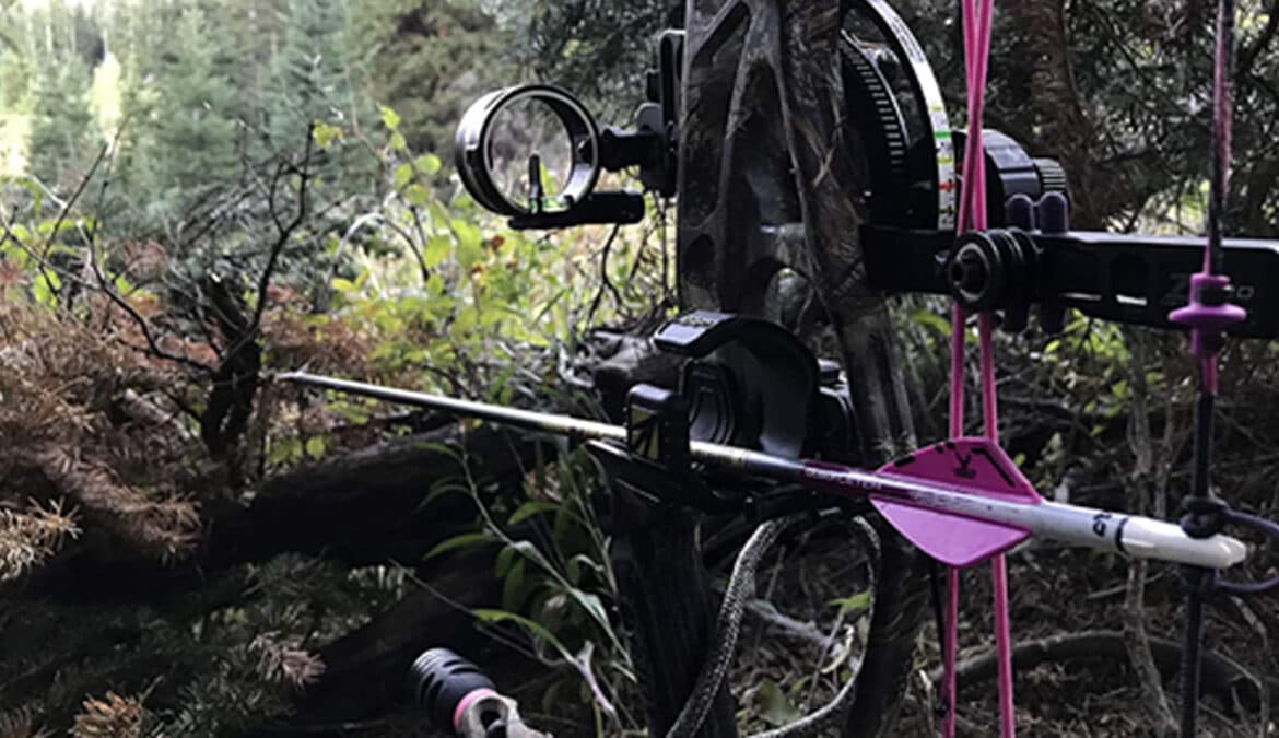 Best Bow Sights for Hunting