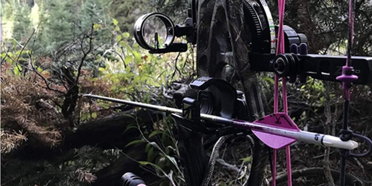 Best Bow Sights for Hunting Best Bow Sights for Hunting