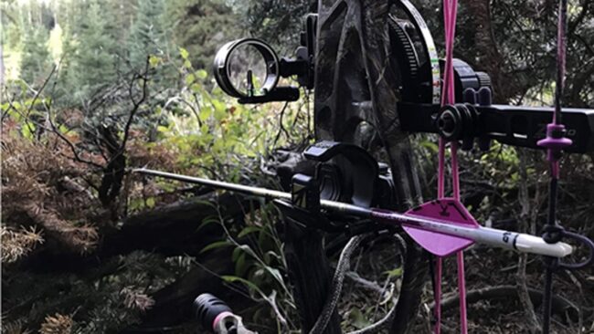 Best Bow Sights for Hunting Best Bow Sights for Hunting