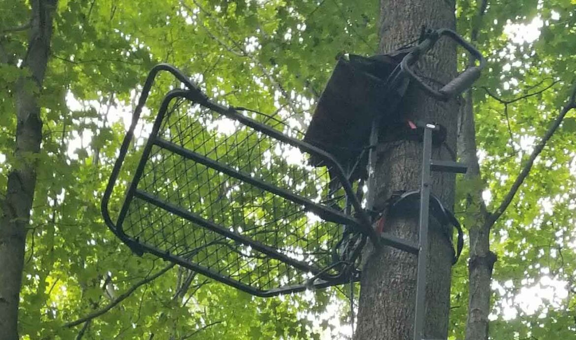 Best Ladder Stand for Bowhunting