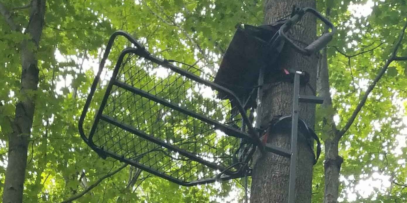 Best Ladder Stand for Bowhunting Best Ladder Stand for Bowhunting
