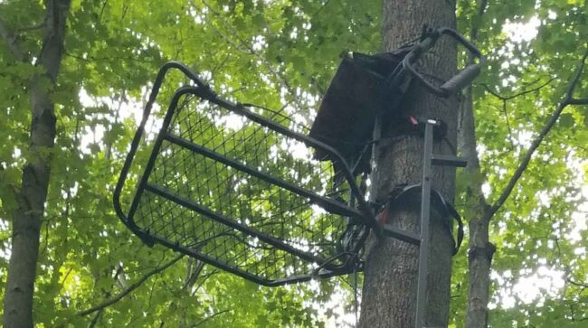 Best Ladder Stand for Bowhunting Best Ladder Stand for Bowhunting