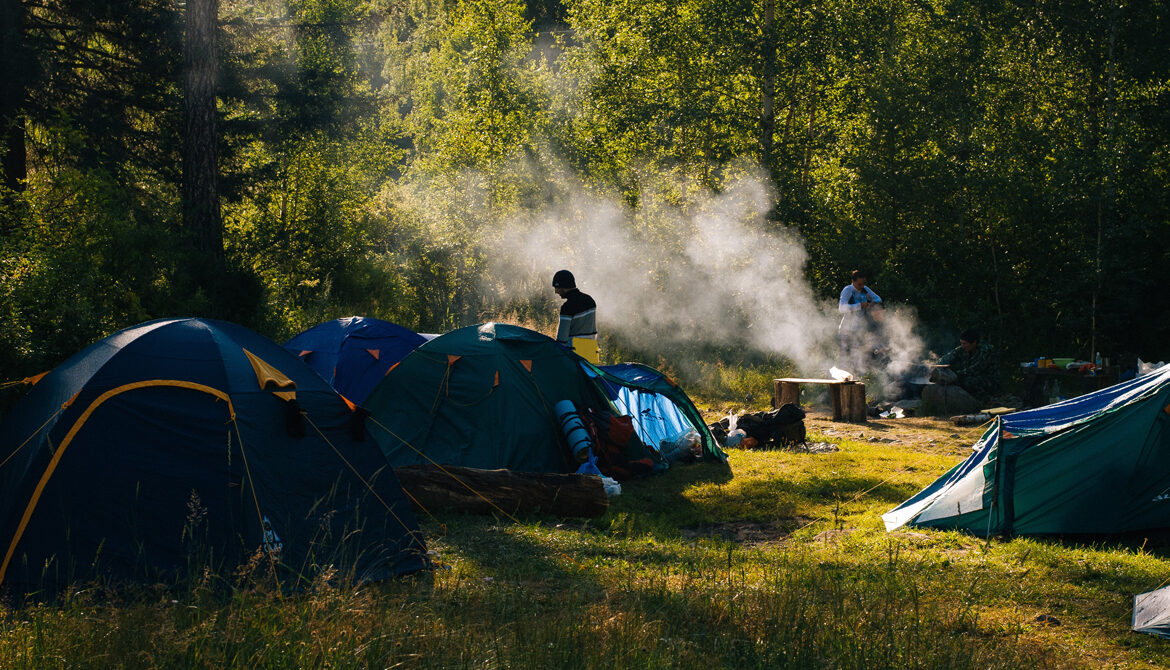 Best Natural ways to repel bugs when camping