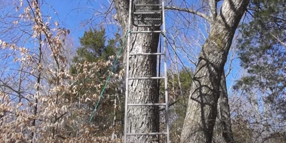 How to Put Up a Ladder Stand by Yourself Recreational Hobbies
