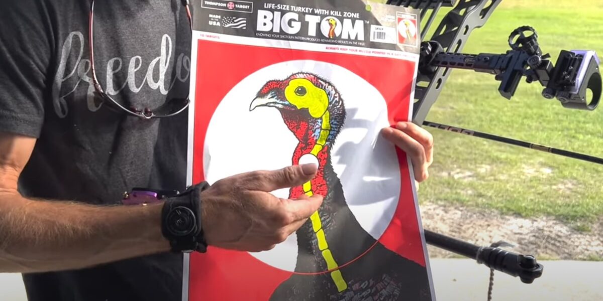 Where to Shoot a Turkey With a Bow Where to Shoot a Turkey With a Bow