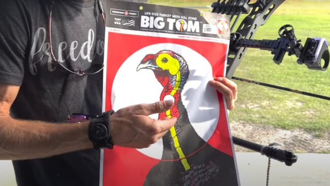 Where to Shoot a Turkey With a Bow Where to Shoot a Turkey With a Bow