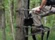 Which is the Safest Device to Use While Climbing a Tree Or in a Tree Stand