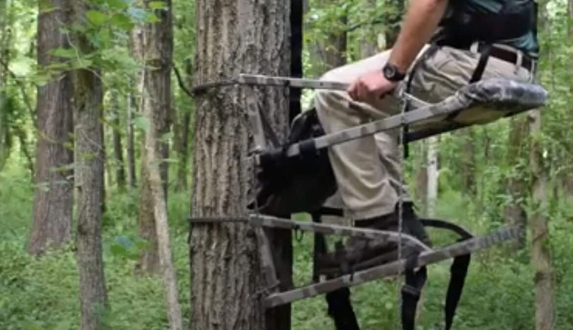 Which is the Safest Device to Use While Climbing a Tree Or in a Tree Stand