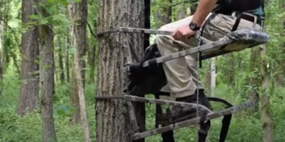 Which is the Safest Device to Use While Climbing a Tree Or in a Tree