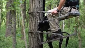 Which is the Safest Device to Use While Climbing a Tree Or in a Tree Stand Which is the Safest Device to Use While Climbing a Tree Or in a Tree Stand