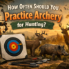 How Often Should You Practice Archery for Hunting