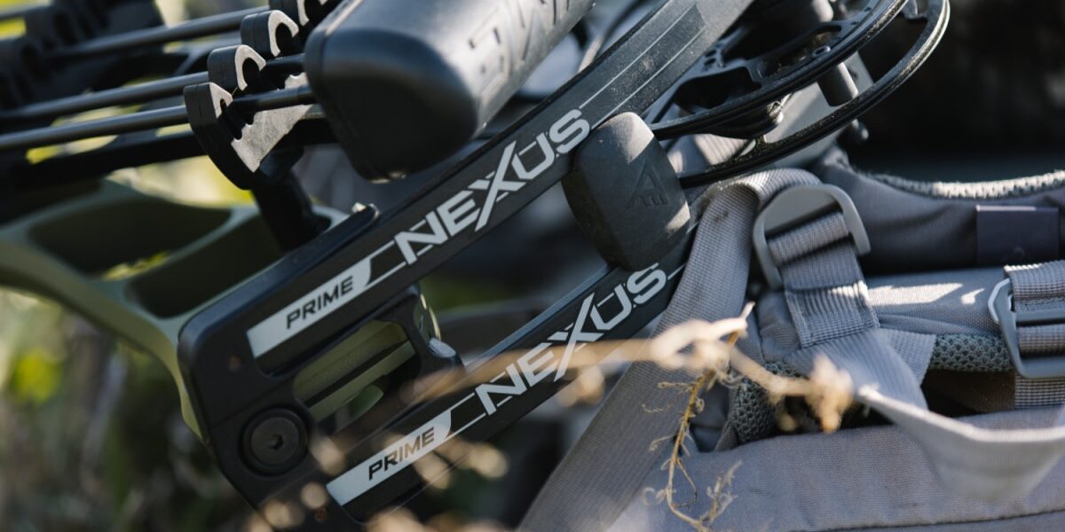 When is the Best Time to Buy a Bow When is the Best Time to Buy a Bow