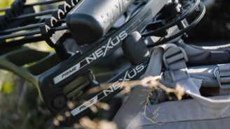 When is the Best Time to Buy a Bow